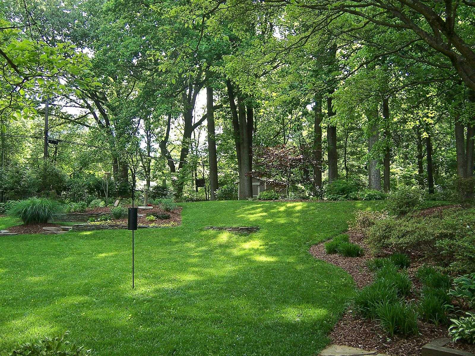 Can Tall Fescue Grass Thrive In Shade?