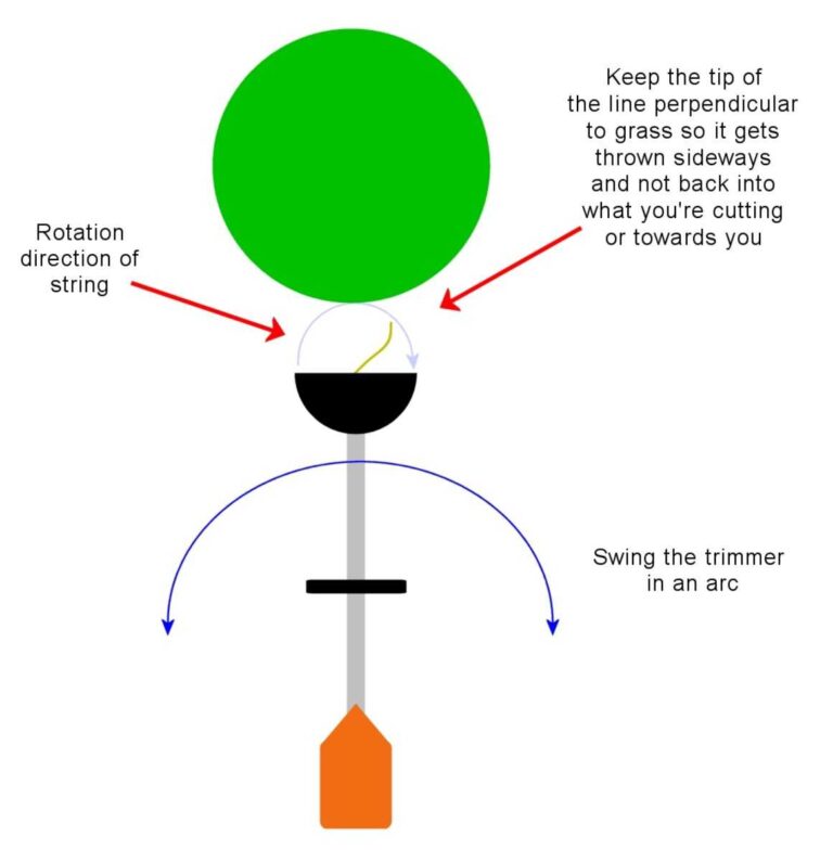 Master The Art Of Using A Grass Trimmer Properly