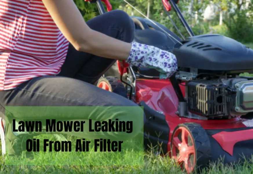 Ultimate Guide Lawn Mower Oil In Air Filter All You Need To Know