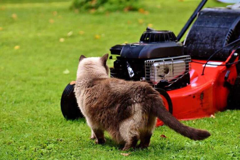 Why Are Lawn Mowers Loud? Exploring The Noise Impact
