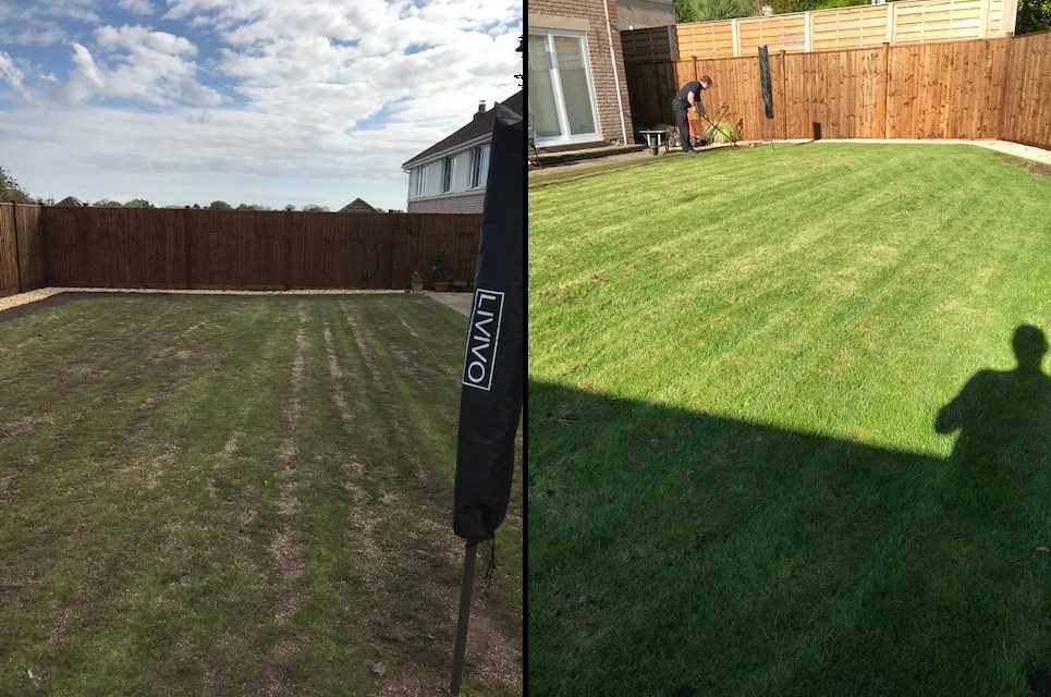 When To Top Dress Your Lawn The Perfect Timing For Ultimate Results