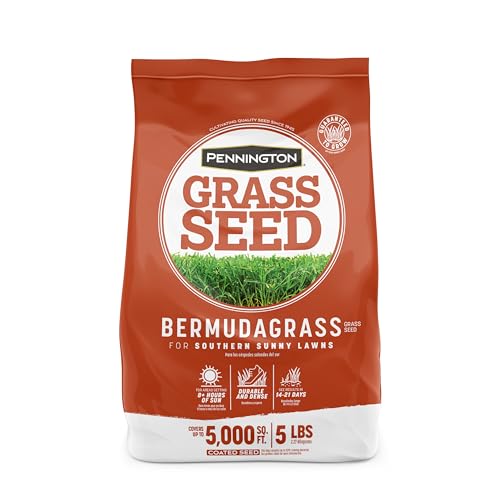 5 Best Grass Seed for a New Lawn