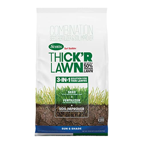 5 Best Grass Seed for Clay Soil Top Picks for Lush Lawns