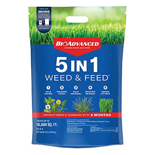 5 Best Fertilizer for Crabgrass