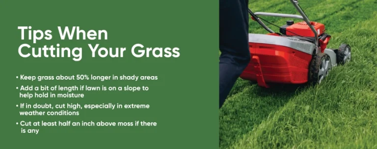 How Often Should You Mow Sloped Lawns?