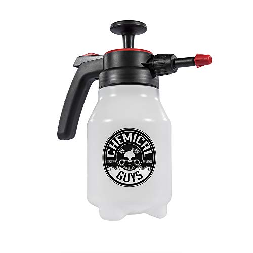Best Sprayer for Car Detailing