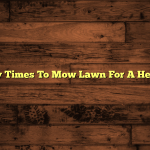 How Many Times To Mow Lawn For A Healthy Yard