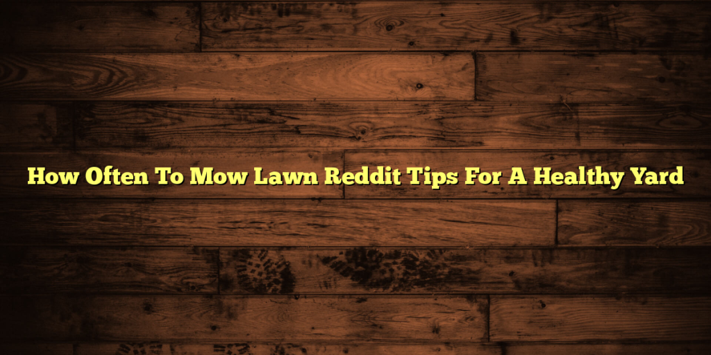 How Often To Mow Lawn Reddit Tips For A Healthy Yard
