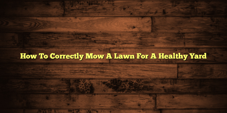How To Correctly Mow A Lawn For A Healthy Yard