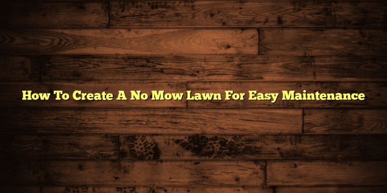 How To Create A No Mow Lawn For Easy Maintenance