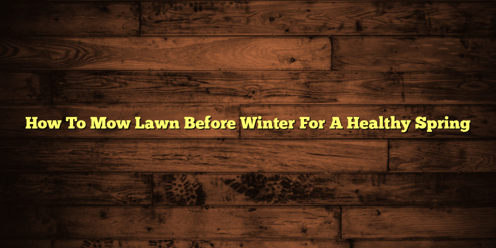How To Mow Lawn Before Winter For A Healthy Spring