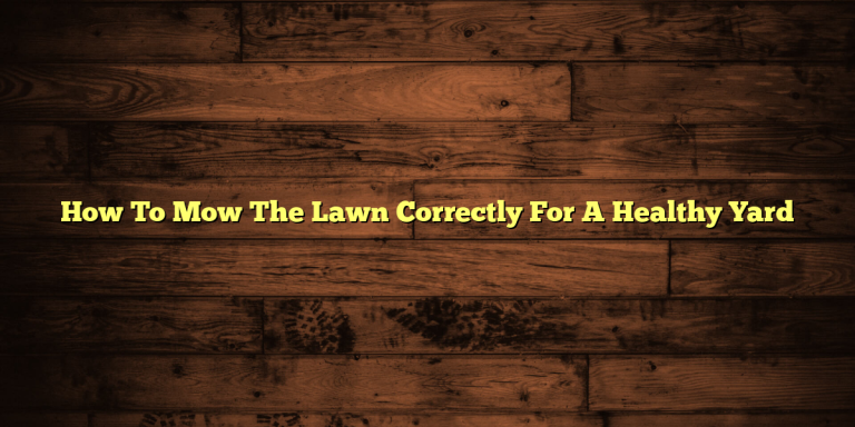 How To Mow The Lawn Correctly For A Healthy Yard