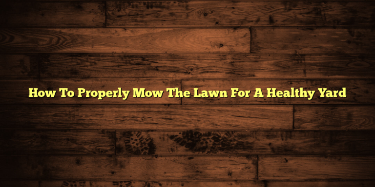How To Properly Mow The Lawn For A Healthy Yard