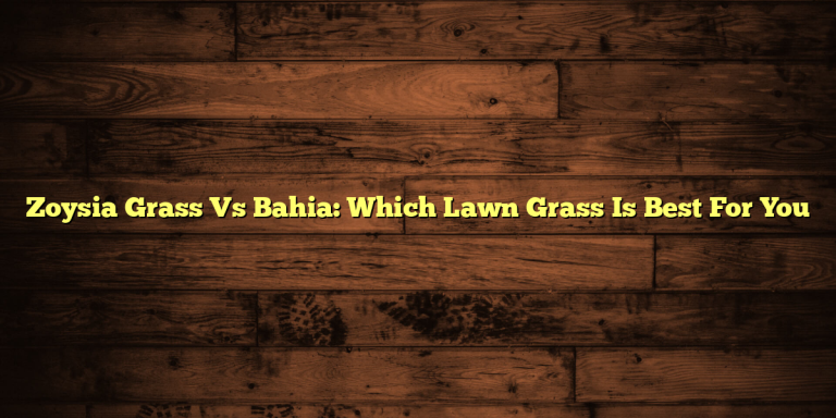 Zoysia Grass Vs Bahia: Which Lawn Grass Is Best For You