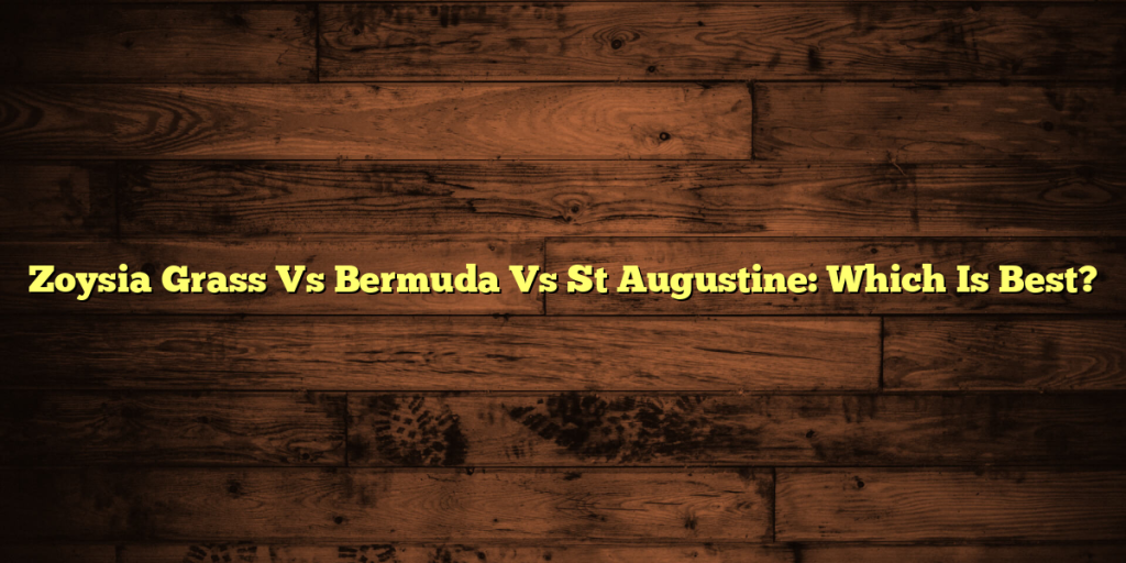 Zoysia Grass Vs Bermuda Vs St Augustine: Which Is Best?