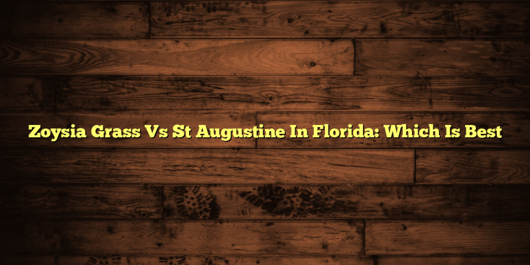 Zoysia Grass Vs St Augustine In Florida: Which Is Best