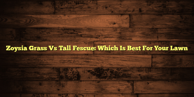 Zoysia Grass Vs Tall Fescue: Which Is Best For Your Lawn