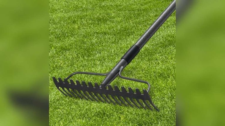 Best Garden Rake for Stones