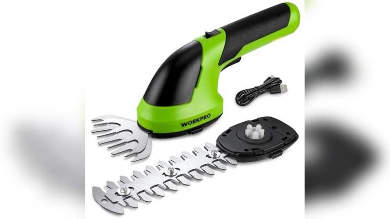Best Grass Trimmer for Large Garden