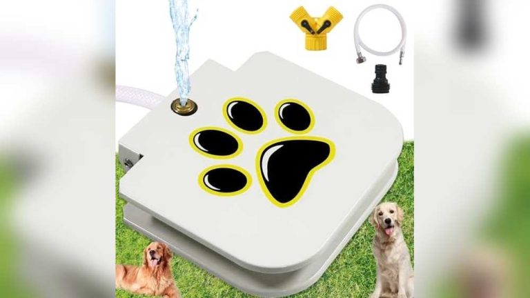 Best Water Sprinkler for Dogs