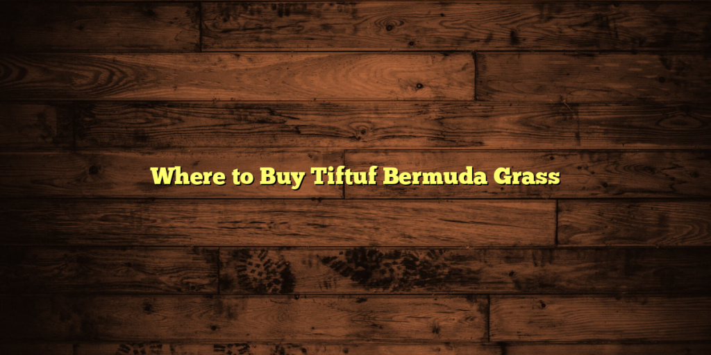 Where to Buy Tiftuf Bermuda Grass