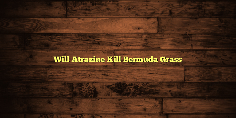 Will Atrazine Kill Bermuda Grass