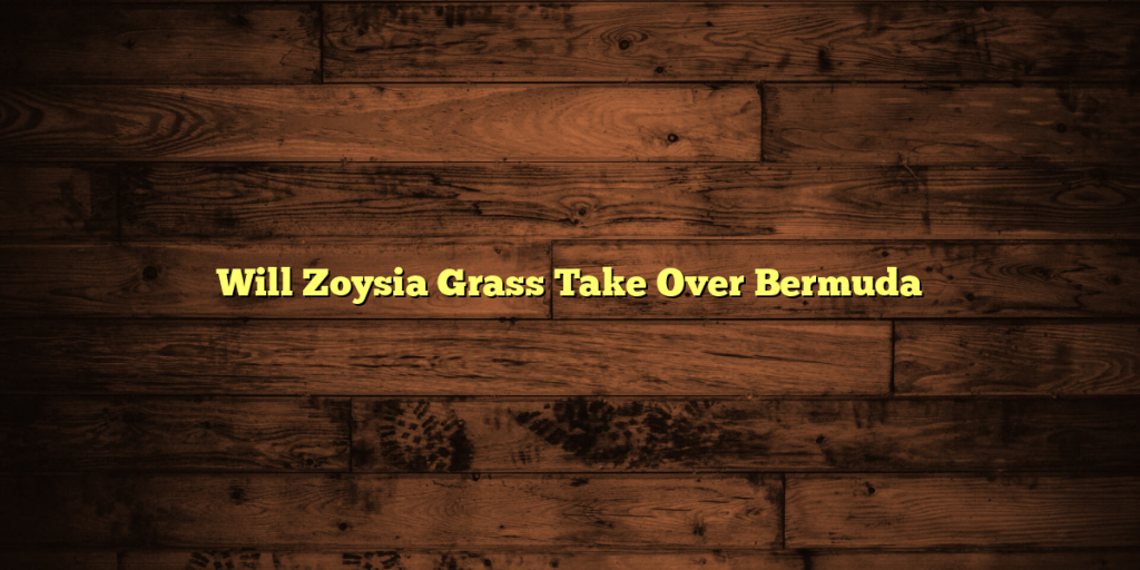Will Zoysia Grass Take Over Bermuda