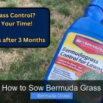 How to Sow Bermuda Grass