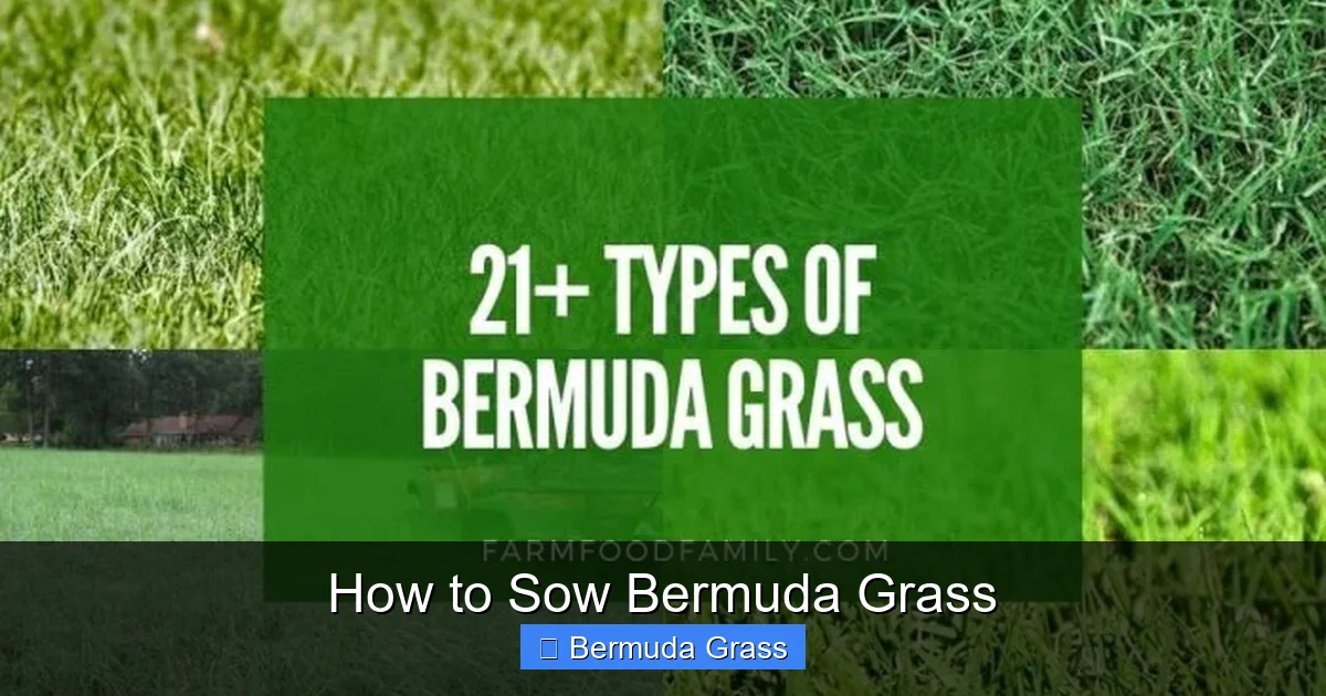 How to Sow Bermuda Grass