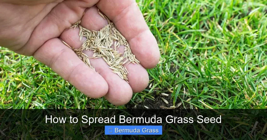 How to Spread Bermuda Grass Seed