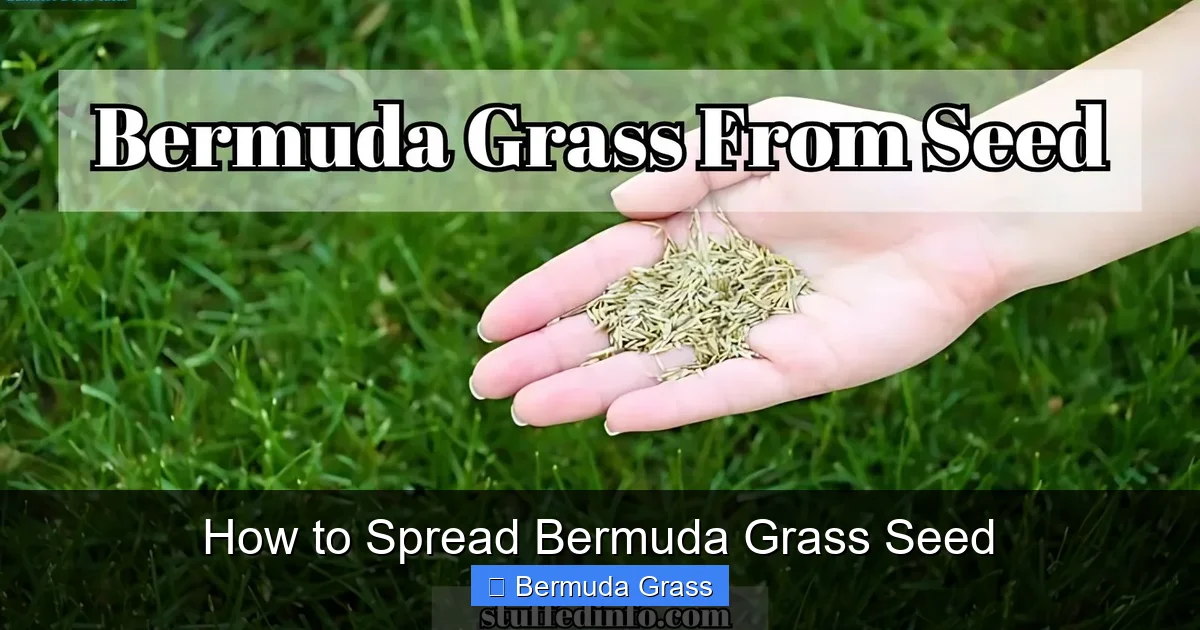 How to Spread Bermuda Grass Seed