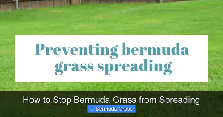 How to Stop Bermuda Grass from Spreading