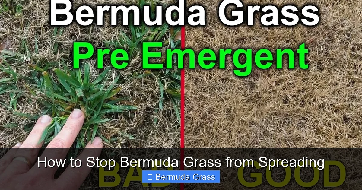 How to Stop Bermuda Grass from Spreading