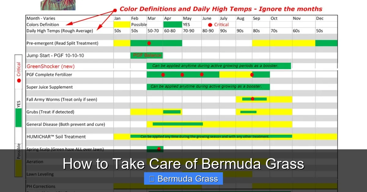 How to Take Care of Bermuda Grass