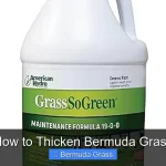 How to Thicken Bermuda Grass