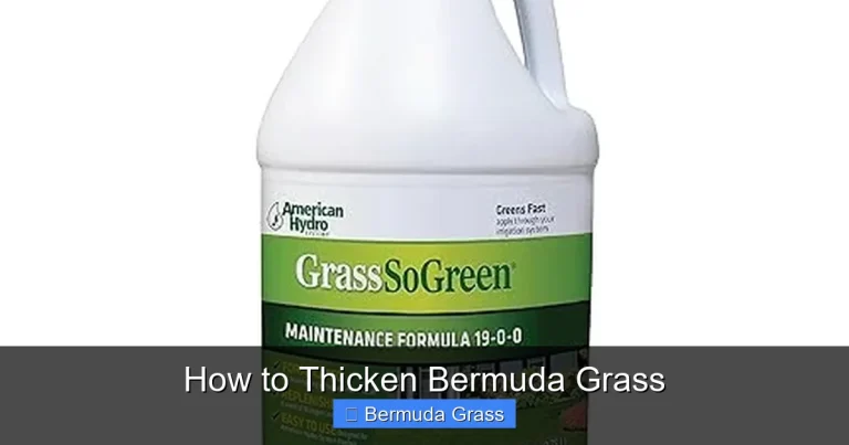 How to Thicken Bermuda Grass