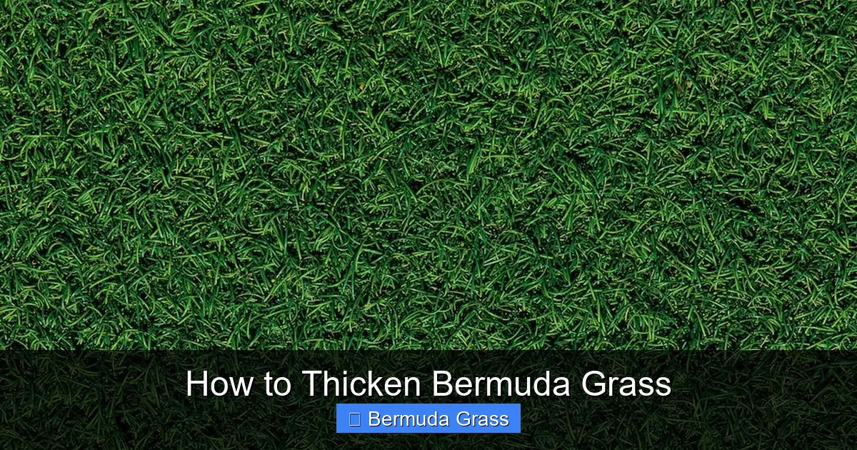 How to Thicken Bermuda Grass