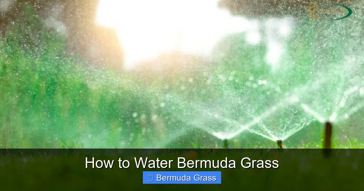 How to Water Bermuda Grass
