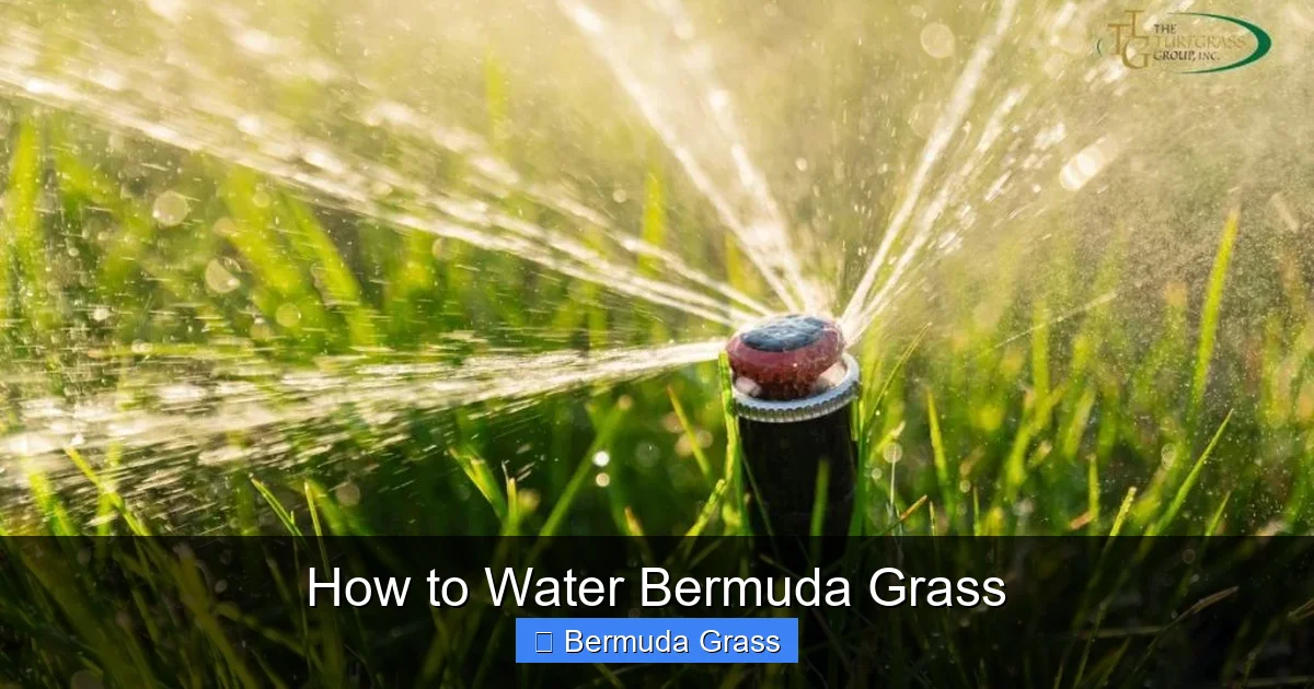 How to Water Bermuda Grass