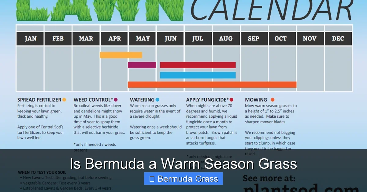 Is Bermuda a Warm Season Grass
