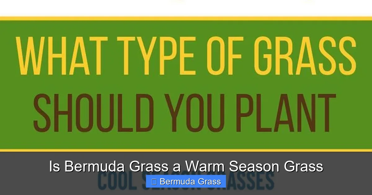 Is Bermuda Grass a Warm Season Grass