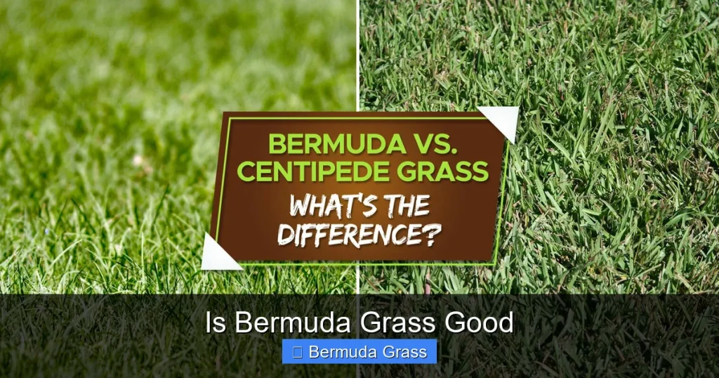 Is Bermuda Grass Good
