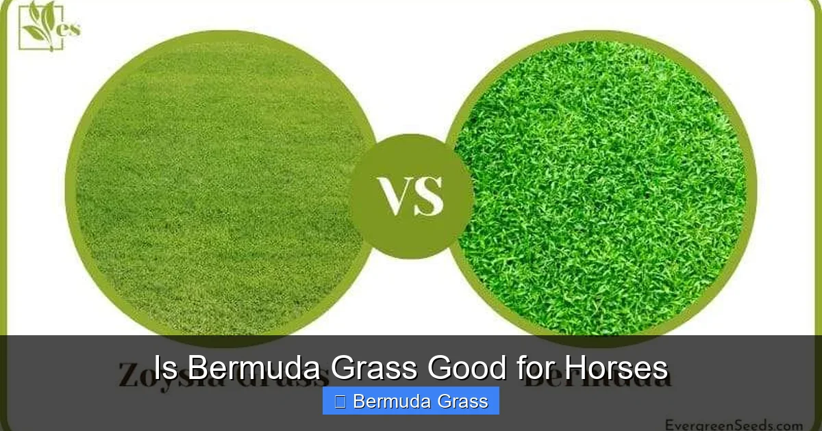 Is Bermuda Grass Good for Horses