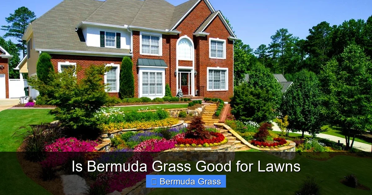Is Bermuda Grass Good for Lawns