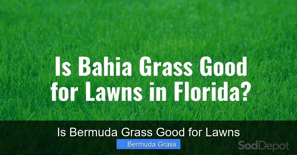 Is Bermuda Grass Good for Lawns