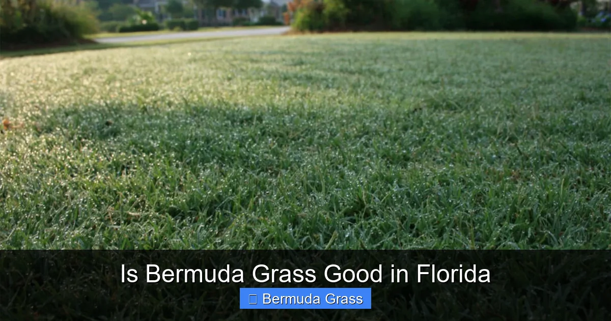 Is Bermuda Grass Good in Florida