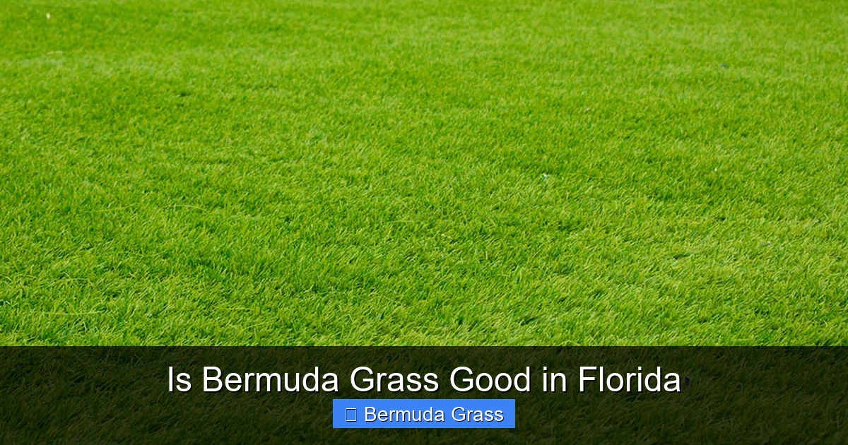 Is Bermuda Grass Good in Florida