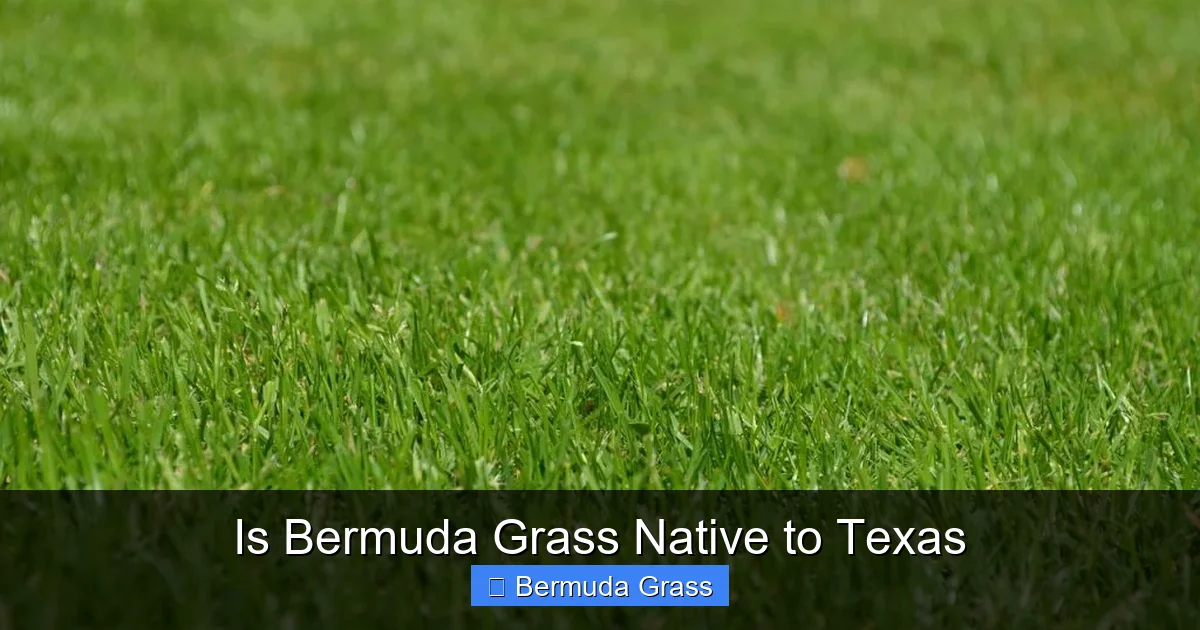 Is Bermuda Grass Native to Texas
