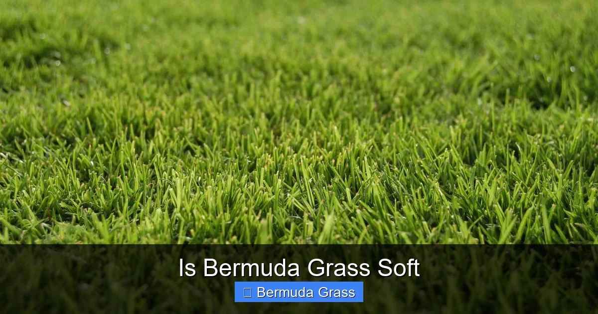 Is Bermuda Grass Soft