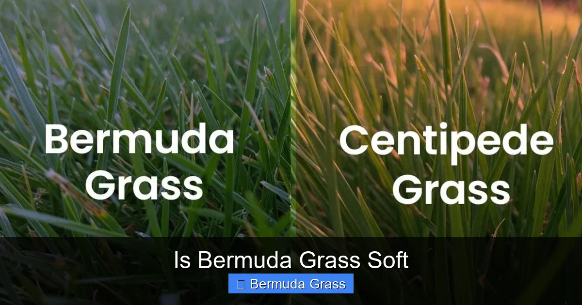 Is Bermuda Grass Soft